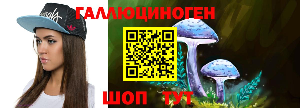 Псилоцибиновые грибы мухоморы Санкт-Петербург